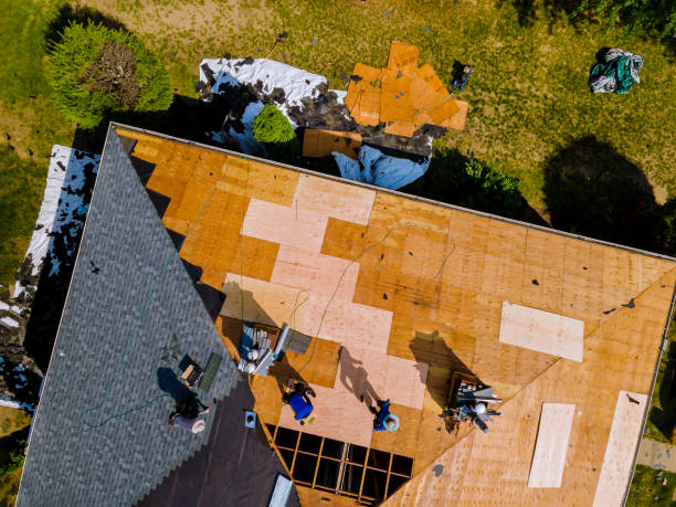 Best Commercial Roofing Services  in Prairie View, TX